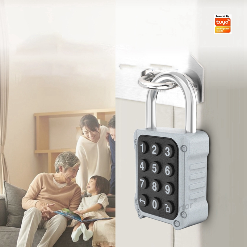 Lockbox Key Secure - EGFirtor Tuya APP Electronic Smart Padlock