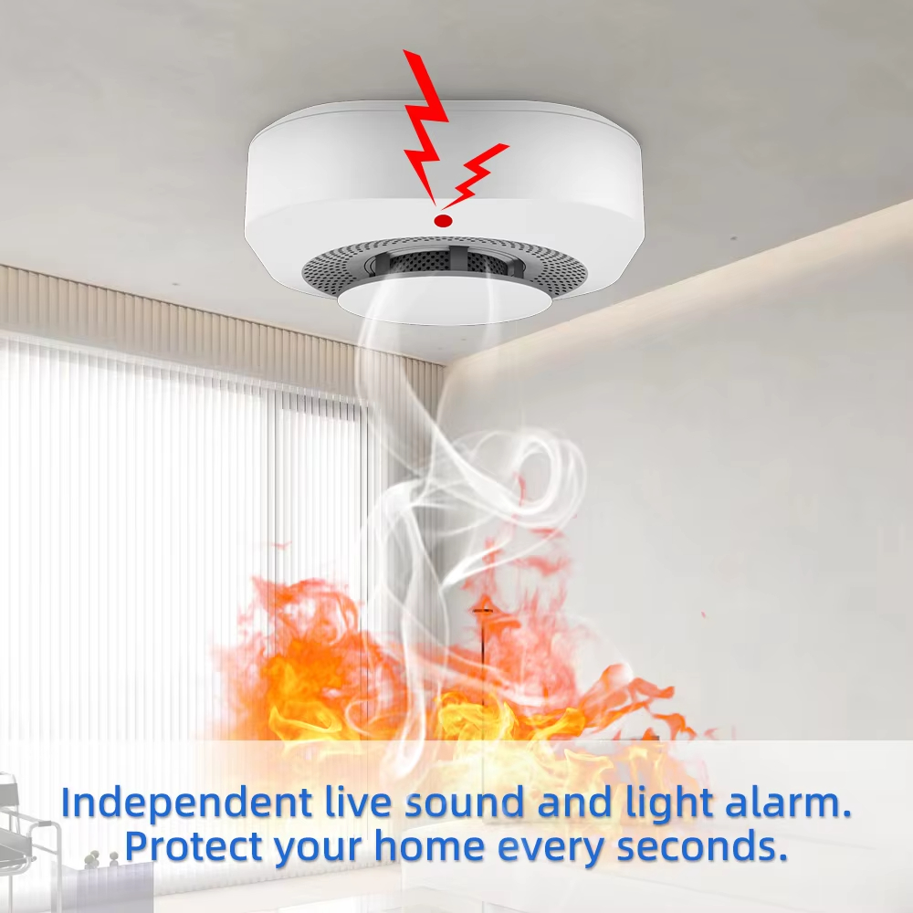 Smart Independent Smoke Detect - đánh giá và giá Smoke Detector Interconnected
