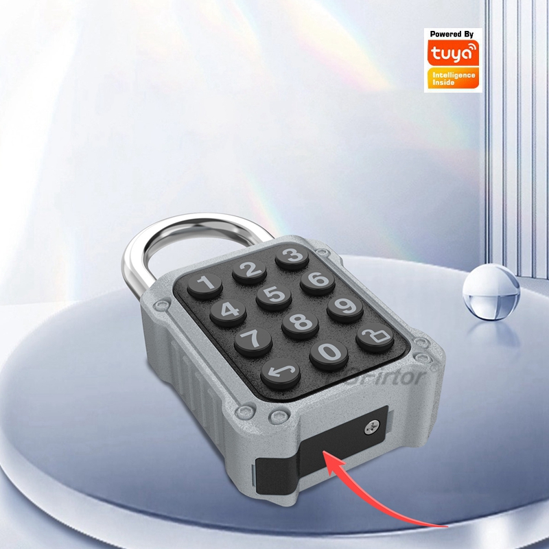 EGFirtor Tuya APP Electronic S - đánh giá và giá Lockbox Key Secure