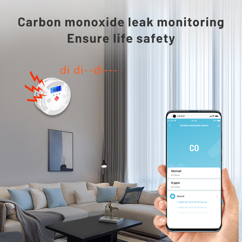Tuya WiFi Smart Carbon Monoxid - đánh giá và giá Co Detector Plug