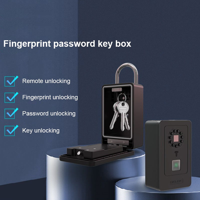 Intelligent Padlock Hang Desig - đánh giá và giá Lockbox Key Secure