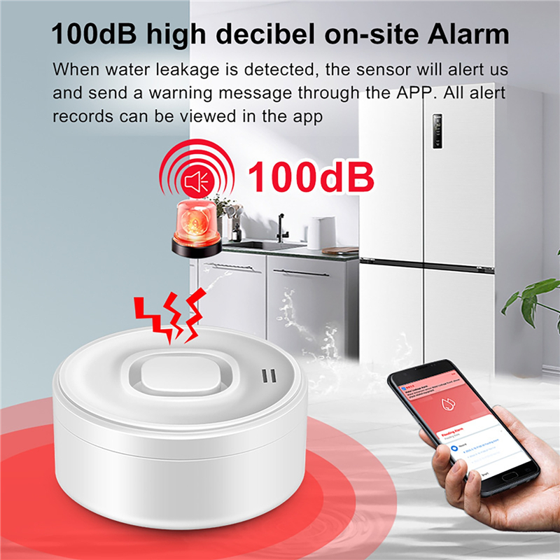 Smart WIFI Water Leak Detector - đánh giá và giá Water Alarm Sensor